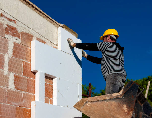 Best Geographic-Specific Insulation Services in Anton, TX